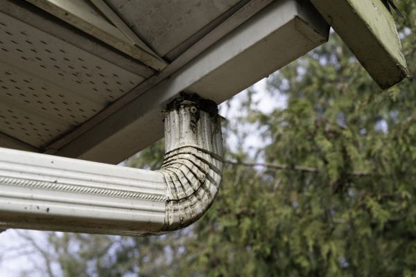 Cost of Roof Drain Replacement in Portland