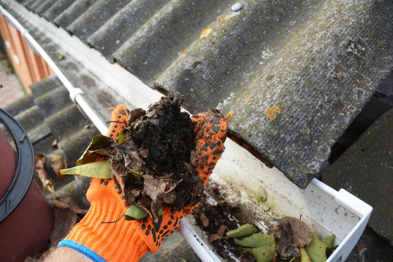 Gutter Cleaning Service